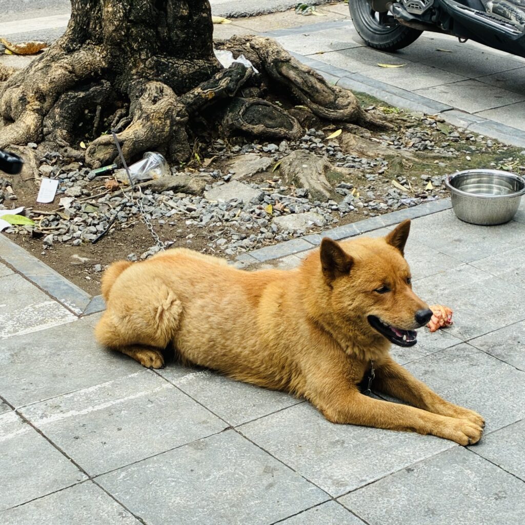 IMG_0060