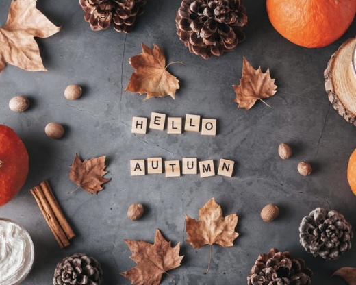 HALLOW AUTUMN 秋をイメージした写真