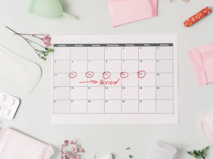 カレンダー、ナプキンなどを使用して、女性の生理周期をイメージ。
