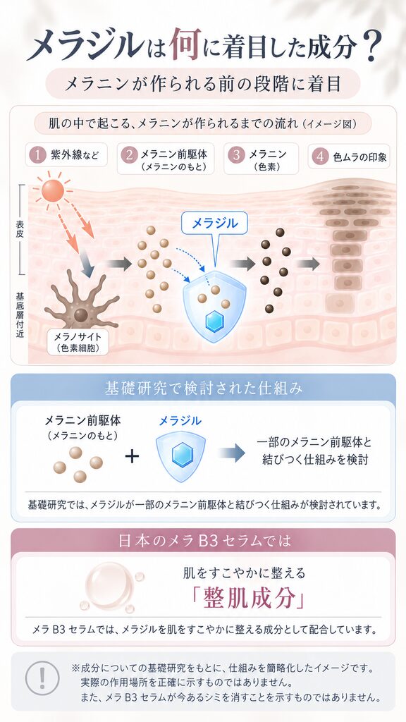 メラジルは何に着目した成分かをわかりやすくイラスト化した画像。